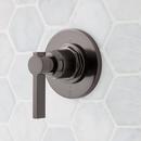 Single Handle Diverter Valve Trim in Gunmetal (Trim Only)
