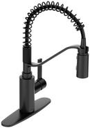 Single Handle Pull Down Kitchen Faucet in Matte Black