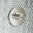 Single Handle Pressure Balancing Valve Trim in Brushed Nickel 