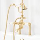 Side Mount Hand Shower Conversion Kit in Brushed Gold 