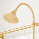 Side Mount Hand Shower Conversion Kit in Brushed Gold 