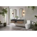 GROHE Matte Black Wall Mount Toilet Tissue Holder 