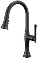 Single Handle Pull Down Kitchen Faucet in Matte Black with Brilliance® Black Onyx