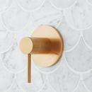 Thermostatic Shower System in Brushed Gold 