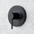 Thermostatic Shower System in Matte Black 