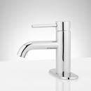 Single Handle Monoblock Bathroom Sink Faucet in Chrome 