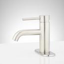 Single Handle Monoblock Bathroom Sink Faucet in Brushed Nickel 