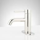 Single Handle Monoblock Bathroom Sink Faucet with Deck Plate in Polished Nickel 