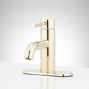 Single Handle Monoblock Bathroom Sink Faucet with Deck Plate in Polished Brass