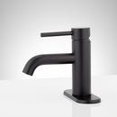 Single Handle Monoblock Bathroom Sink Faucet in Matte Black 