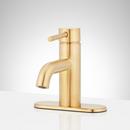 Single Handle Monoblock Bathroom Sink Faucet with Deck Plate in Brushed Gold