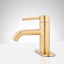 Single Handle Monoblock Bathroom Sink Faucet in Brushed Gold 