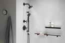 KOHLER Vibrant&reg; Brushed Moderne Brass Multi Function Hand Shower 