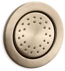Single Function Body Spray in Vibrant® Brushed Bronze