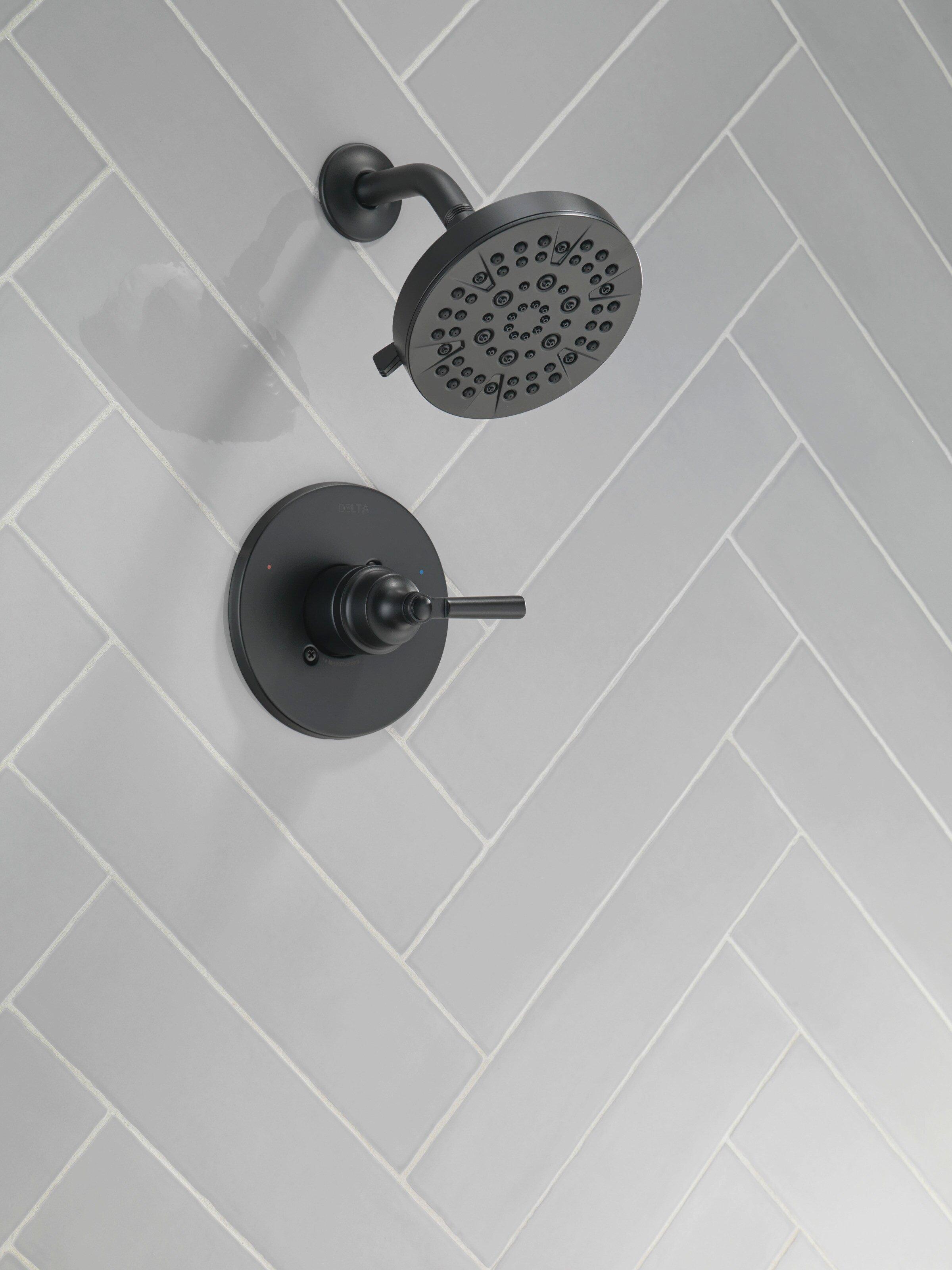 Delta Faucet Matte Black Single Handle Multi Function Shower Faucet (Trim Only) 