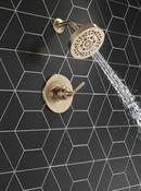 Delta Faucet Brilliance Champagne Bronze Single Handle Multi Function Shower Faucet (Trim Only) 