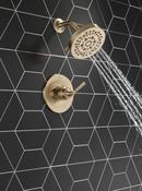 Delta Faucet Brilliance Champagne Bronze Single Handle Multi Function Shower Faucet (Trim Only) 