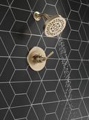 Delta Faucet Brilliance Champagne Bronze Single Handle Multi Function Shower Faucet (Trim Only) 
