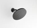 Single Function Showerhead in Matte Black 