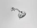 PEERLESS UNIVERSAL SHOWERING COMPONENTS: 5-SETTING SHOWER HEAD 