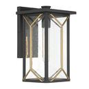 60W 1-Light 13-3/4 in. Wall Sconce in Sand Coal and Mystic Gold