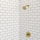 Pfister Brushed Gold Single Handle Shower Faucet (Trim Only) 