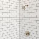 Pfister Polished Nickel Single Handle Shower Faucet (Trim Only) 