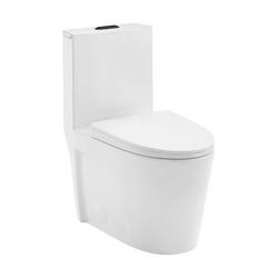 1.1/1.6 gpf Dual Flush Elongated One Piece Toilet in Glossy White with Black