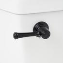 Flush Lever in Matte Black