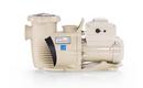 3 hp Variable Speed Pump 