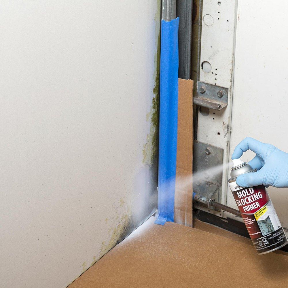 13 oz. Mold Blocking Primer Spray in Flat White 