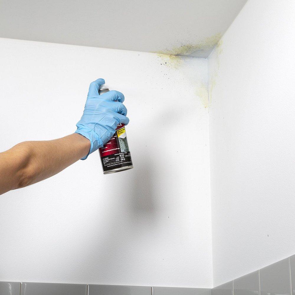13 oz. Mold Blocking Primer Spray in Flat White 