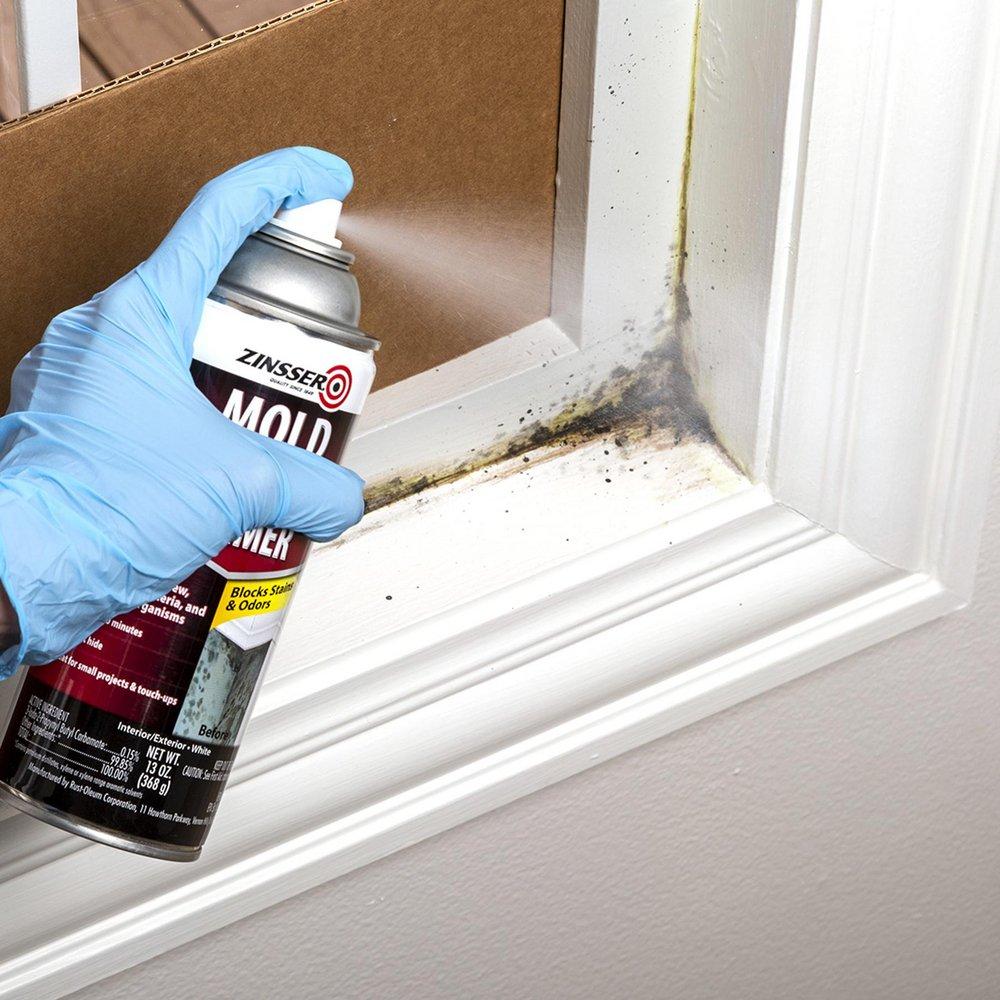 13 oz. Mold Blocking Primer Spray in Flat White 