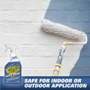 24 oz. Latex Paint Remover 