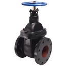 Legend Valve & Fitting Cast Iron Flanged Gate Valve 