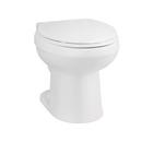 Elongated Toilet Bowl in White 