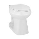 Elongated Toilet Bowl in White 