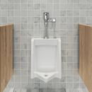American Standard Polished Chrome Sensor Flush Valve 