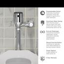 American Standard Polished Chrome 1.1 gpf Flush Valve 