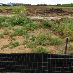 2 x 100 ft. 2 x 4 ft. Wire Backed Silt Fence