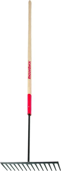 14 in. Asphalt Rake