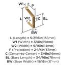 EMERGE CONTEMPORARY DOUBLE PRONG CHAMPAGNE BRONZE WALL HOOK 