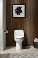 KOHLER White 1.28 gpf Elongated Floor Mount One Piece Toilet 