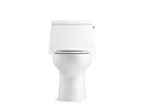 1.28 gpf Elongated One Piece Toilet in White 