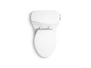 1.28 gpf Elongated One Piece Toilet in White 