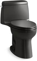 1.6 gpf Elongated One Piece Toilet in Black Black™