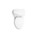 1.28 gpf Elongated One Piece Toilet in White 