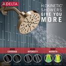 Delta Faucet Brilliance Champagne Bronze Single Handle Multi Function Shower Faucet (Trim Only) 