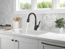 Single Handle Pull Down Kitchen Faucet in Matte Black 