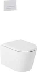 1.08 gpf/1.6 gpf Dual Flush Elongated Two Piece Toilet in Matte Chrome 